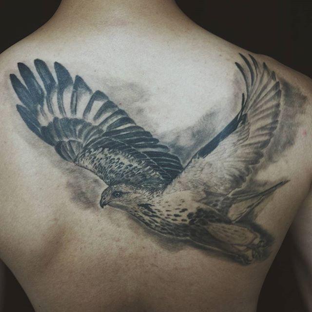 tatuaje aguila 491