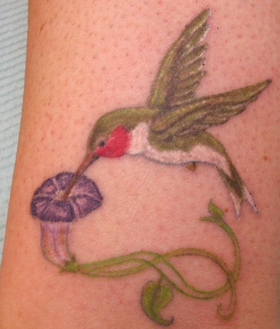 colibri-tattoo-03