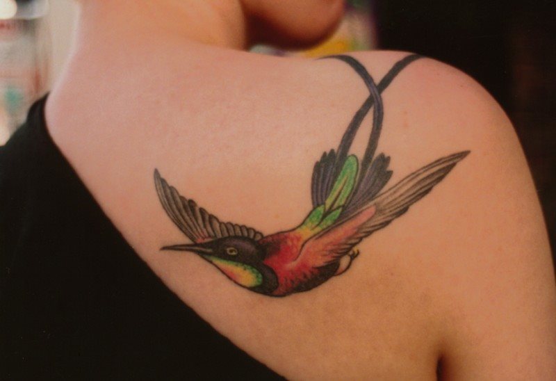 tatuaje-colibri-41