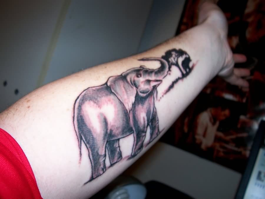 tatuaje-elefante-26