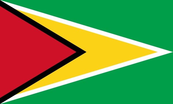 Bandera de Guyana. Historia y significado