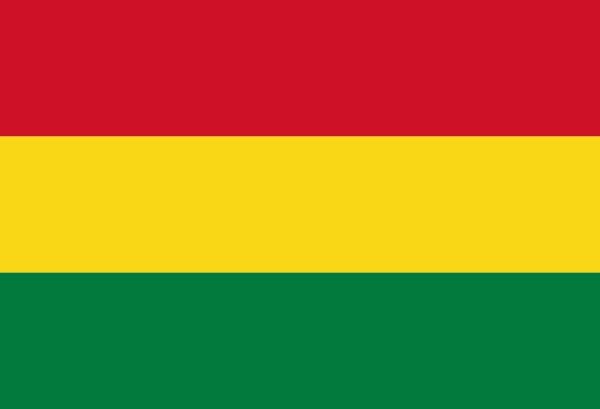 Bandera de Bolivia. Historia y significado