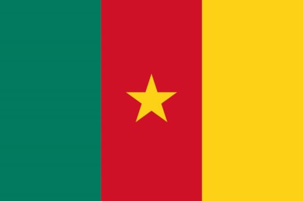 Bandera de Camerún. Historia y significado