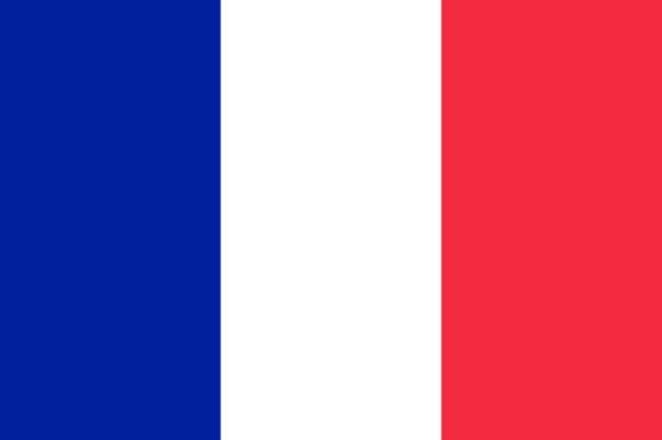 Bandera de Francia. Historia y significado