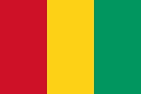 Bandera de Guinea. Historia y significado