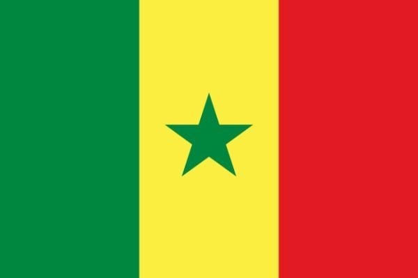 Bandera de Senegal. Historia y significado
