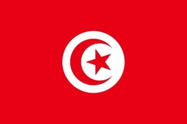 Bandera de Túnez. Historia y significado