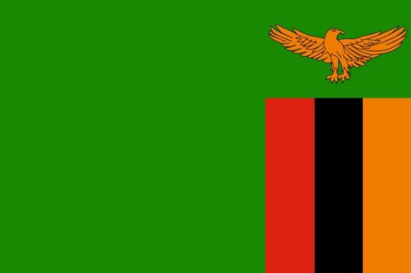 Bandera de Zambia. Historia y significado