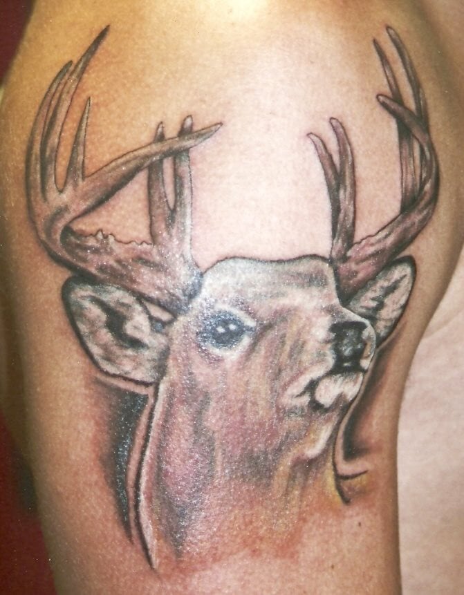 tatuaje animal 179