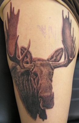 tatuaje animal 200