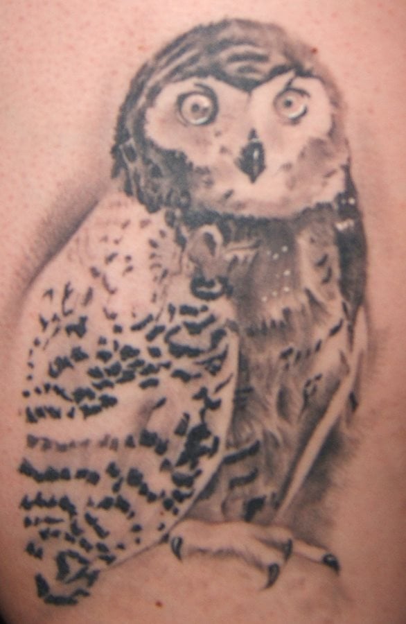 tatuaje animal 205