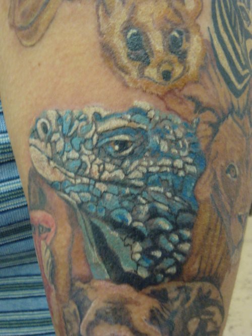tatuaje iguana 12