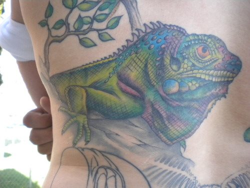 tatuaje iguana 13