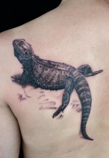 29 Tatuajes de varias iguanas tropicales