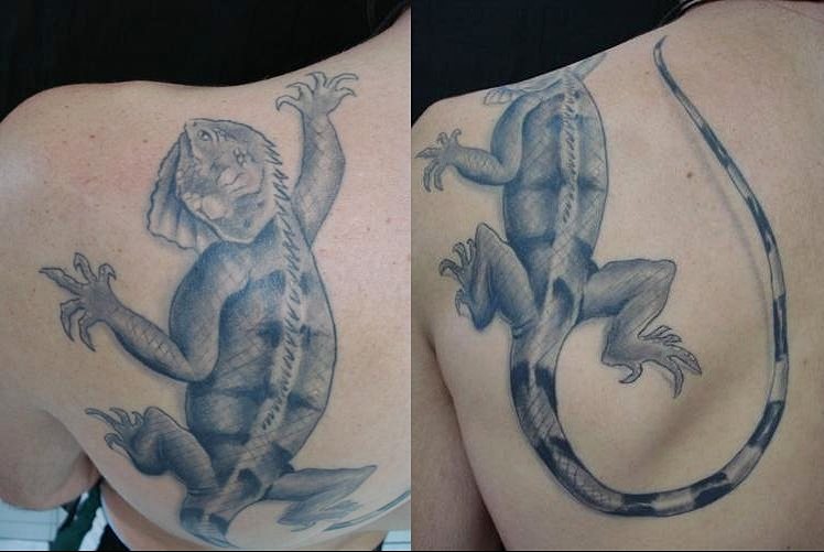 tatuaje iguana 26