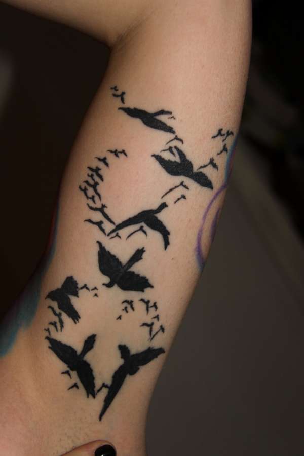 Significado de los 15 tatuajes de aves y pájaros más populares