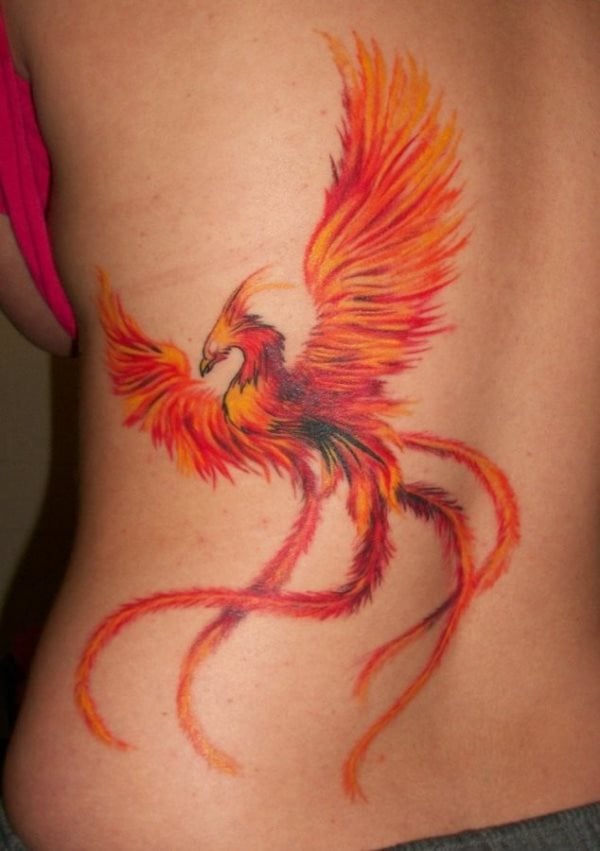 Tatuaje en la espalda de una mujer realizado con trazos muy finos para conseguid un plumaje espectacular de este ave, en el que la cabeza tal vez sea el detalle que menos nos convence por sus escasos acabados y donde, el color elegido para todo el tatuaje nos encanta
