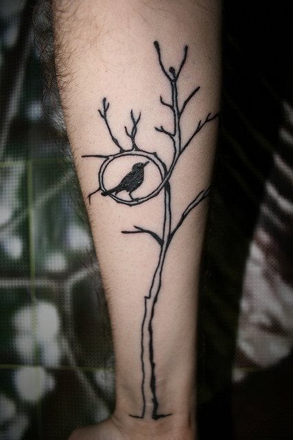 Imagen de un pjaro en una rama de un rbol de aspecto delicado