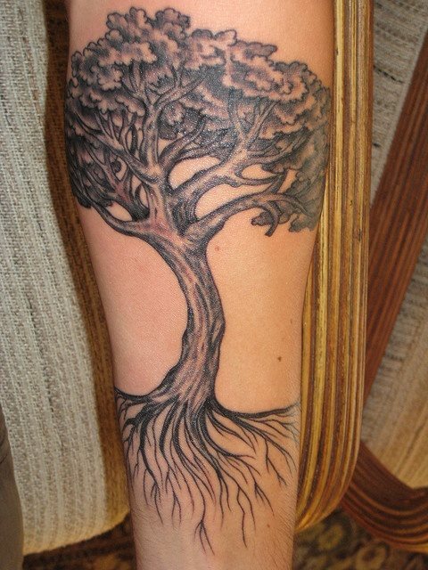 Tatuaje de un rbol, esta vez en la zona del brazo