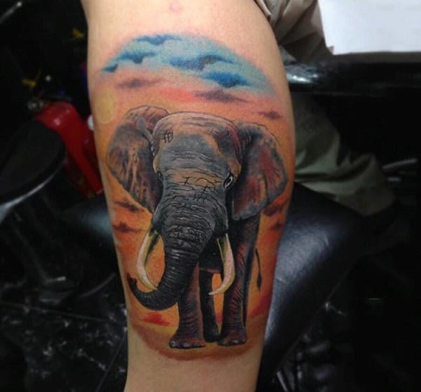 tatuaje elefante para hombre 24