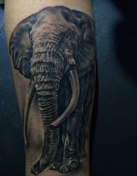 tatuaje elefante para hombre 50