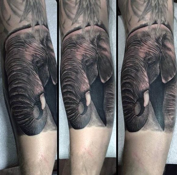 tatuaje elefante para hombre 61