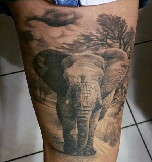 tatuaje elefante para hombre 70