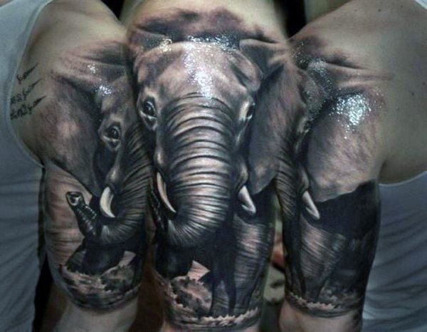 tatuaje elefante para hombre 73