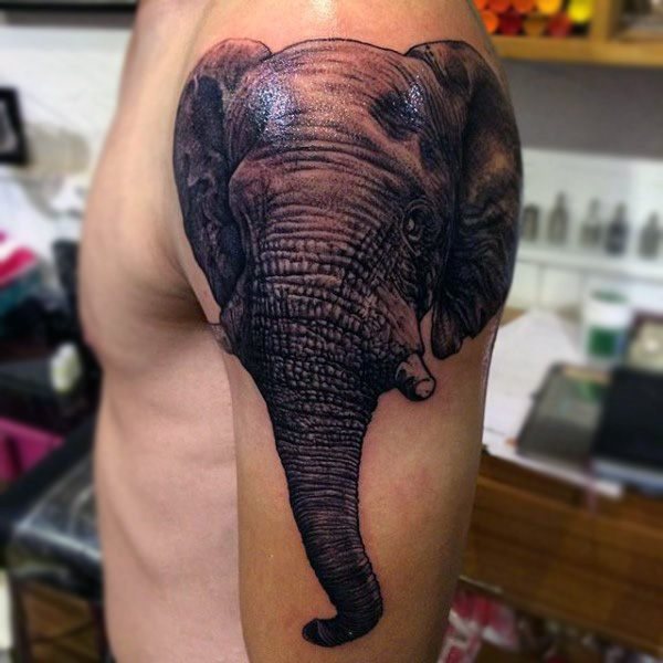 tatuaje elefante para hombre 82