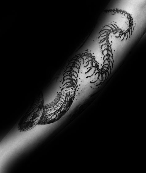 tatuaje esqueleto serpiente para hombre 12