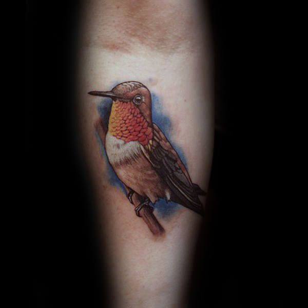 tatuaje colibri 1217