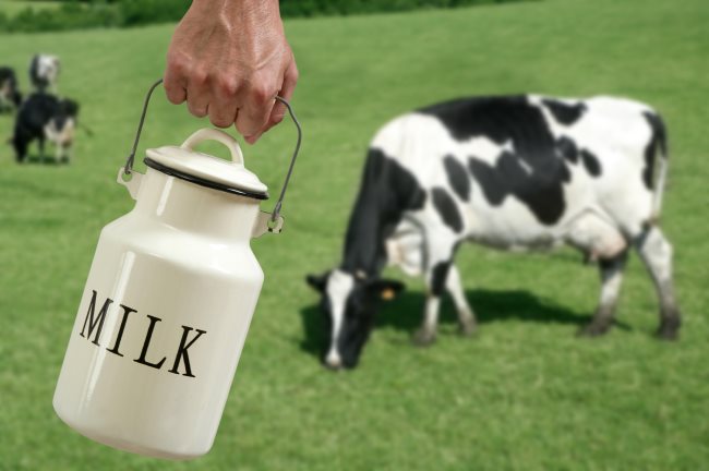 ¿Es realmente la leche animal indispensable?