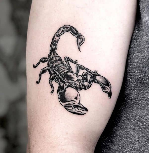 tatuaje para un escorpio 62
