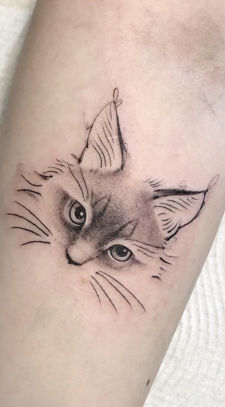 tatuaje gato en mujer 03
