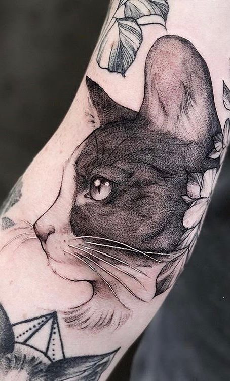 tatuaje gato en mujer 12