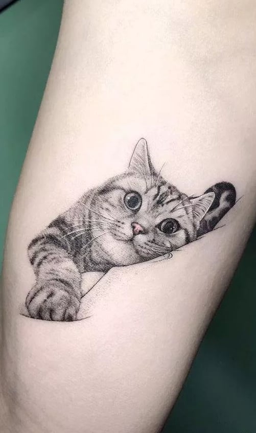 tatuaje gato en mujer 32