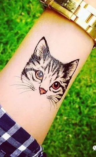 tatuaje gato en mujer 36