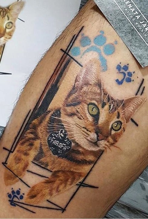tatuaje gato en mujer 50
