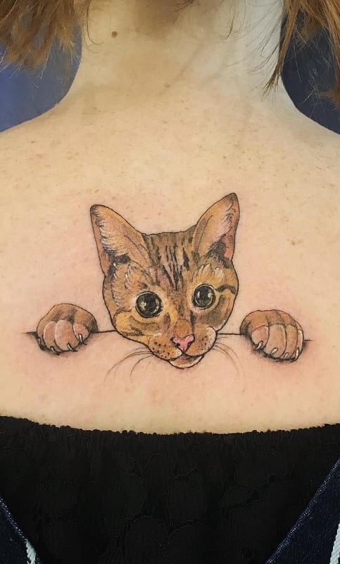 tatuaje gato en mujer 53