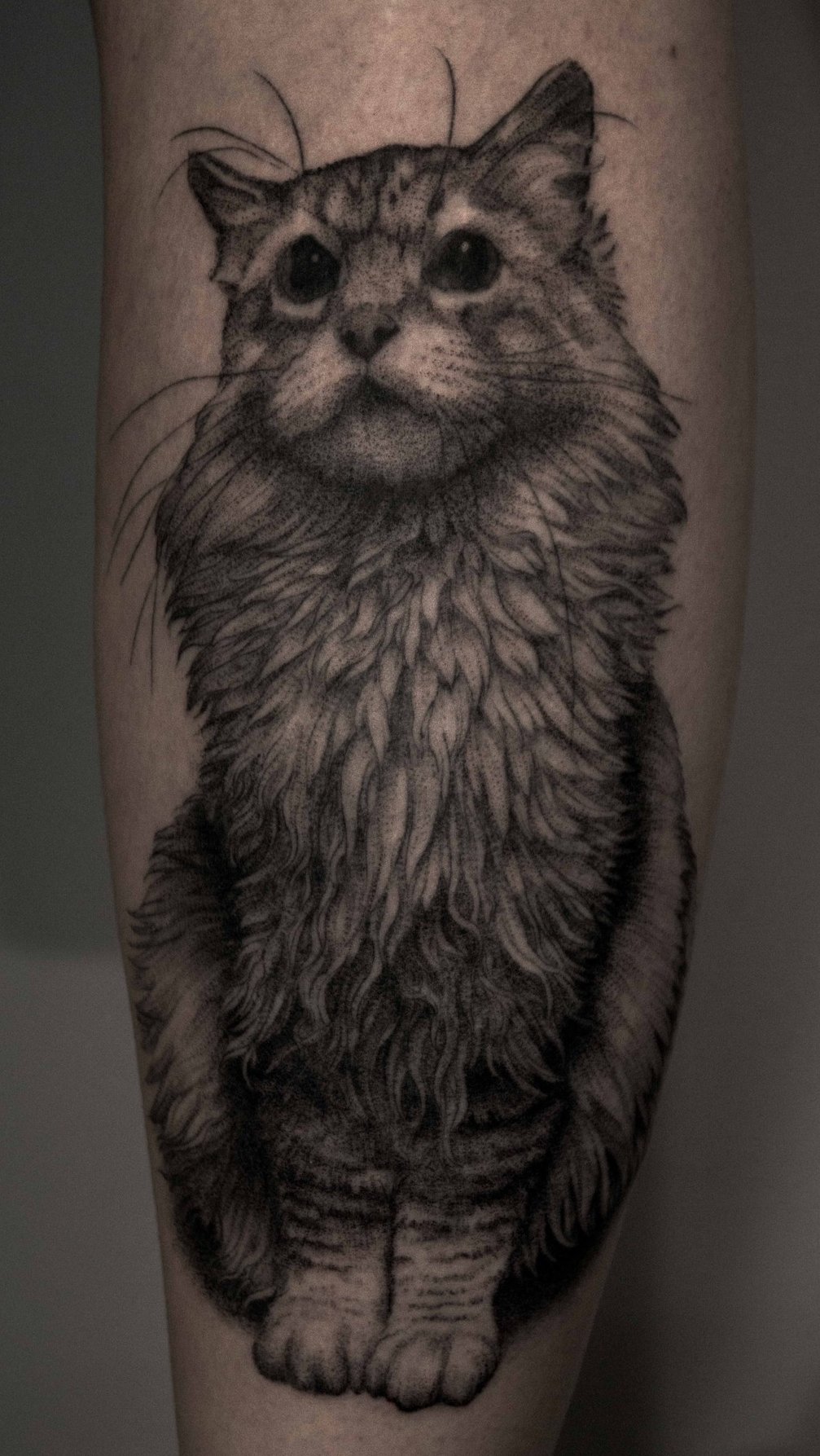 tatuaje gato en mujer 77