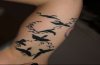 bird tatto 1